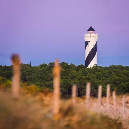 Ocelandes サン・ジュリアン・アン・ボルヌ