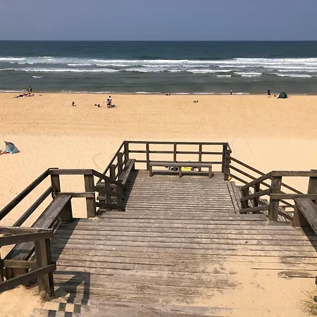 Ocelandes サン・ジュリアン・アン・ボルヌ