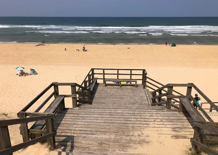 Ocelandes סן-ז'וליין-אן-בורן