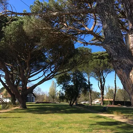 Holiday park Ocelandes